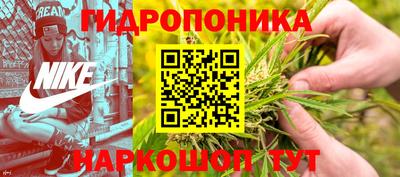 прущие грибы Кумертау