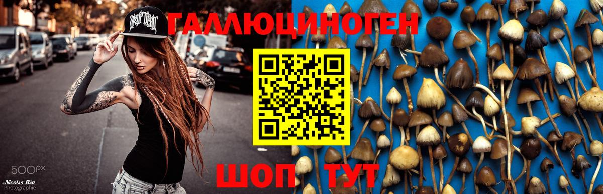 Котлас  Галлюциногенные грибы MAGIC MUSHROOMS  Галлюциногенные грибы мухоморы  Вход с VPN 