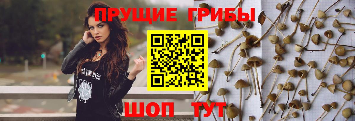 Галлюциногенные грибы ЛСД Котлас